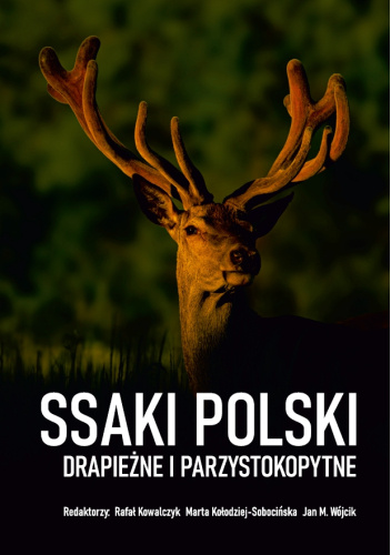 Ssaki Polski. Drapieżne i parzystokopytne