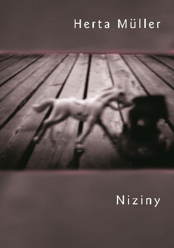 Niziny