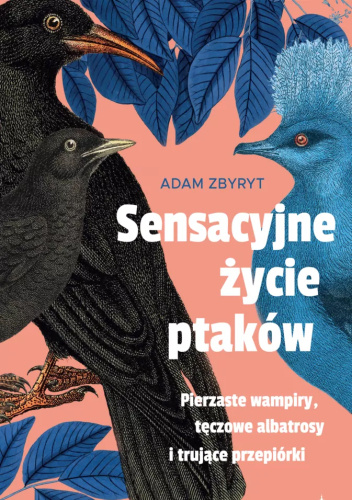 Sensacyjne życie ptaków. Pierzaste wampiry, tęczowe albatrosy i trujące przepiórki
