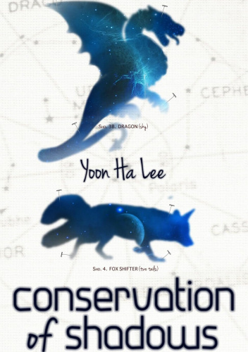 Conservation of Shadows