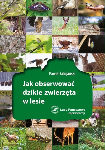 Jak obserwować dzikie zwierzęta w lesie