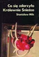 Co się zdarzyło Królewnie Śnieżce