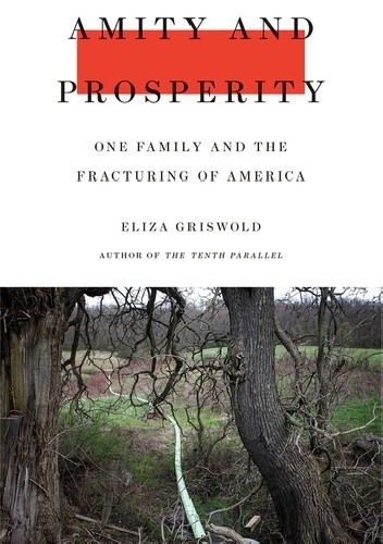 Amity and Prosperity: One Family and the Fracturing of America