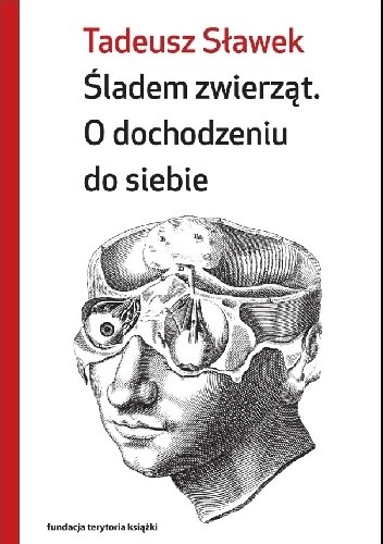 Śladem zwierząt. O dochodzeniu do siebie