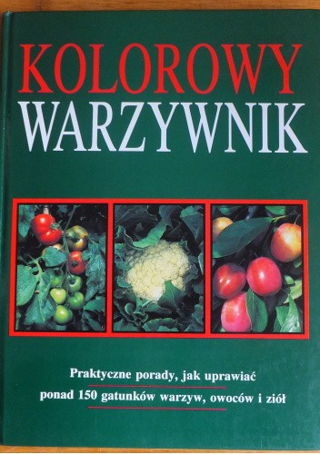 KOLOROWY WARZYWNIK