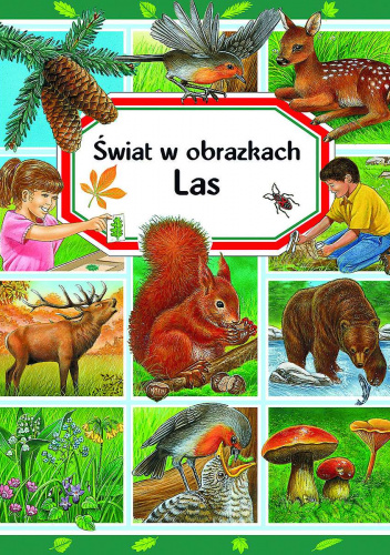 Świat w obrazkach Las