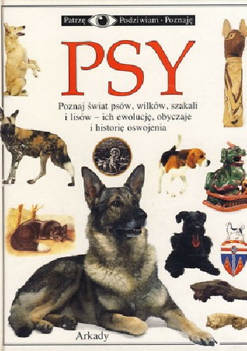 Psy