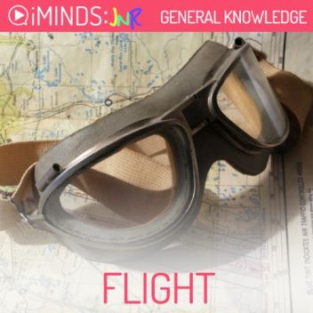 Flight