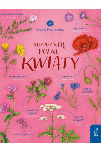 Rozpoznaję polne kwiaty
