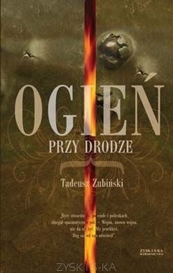 Ogień przy drodze