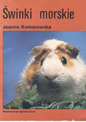 Świnki morskie