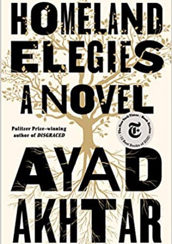 Homeland Elegies: A Novel