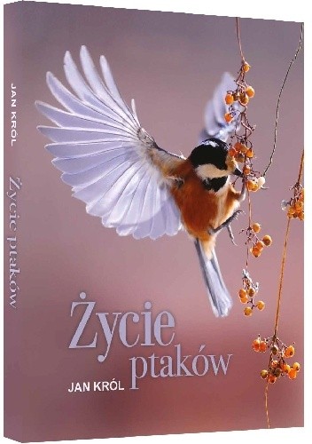 Życie ptaków