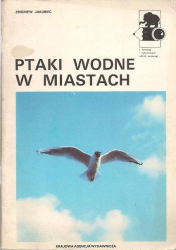 Ptaki wodne w miastach