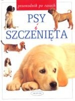 Psy i szczenięta