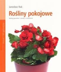 Rośliny pokojowe