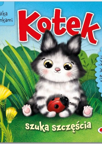 Kotek szuka szczęścia. Baw się w kółko