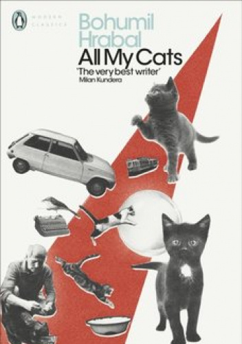 All my cats