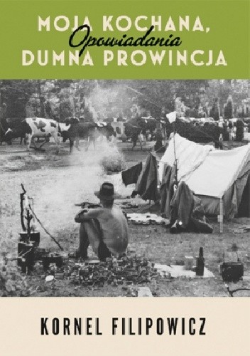 Moja kochana, dumna prowincja. Opowiadania