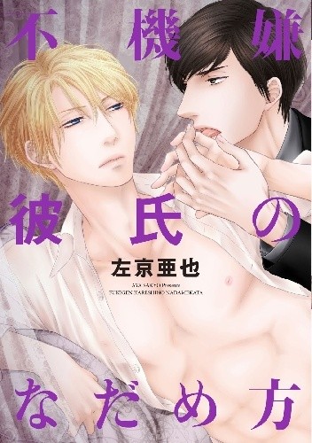 Fukigen Kareshi no Nadamekata