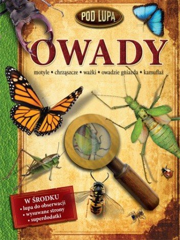 Owady. pod lupą