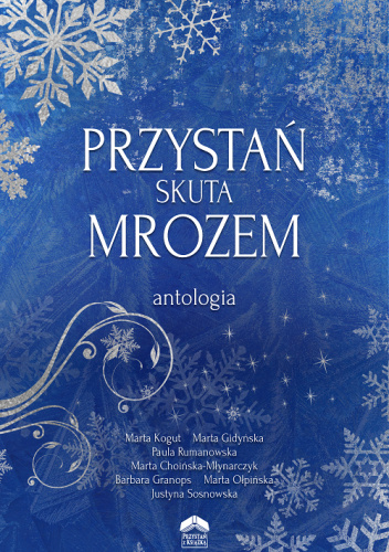 Przystań skuta mrozem
