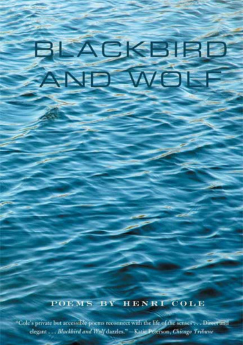 Blackbird and Wolf
