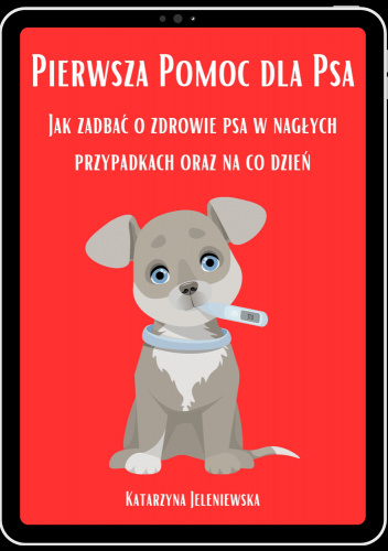 Pierwsza pomoc dla psa
