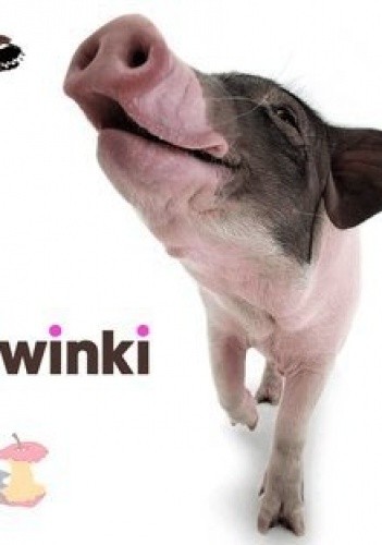 Świnki