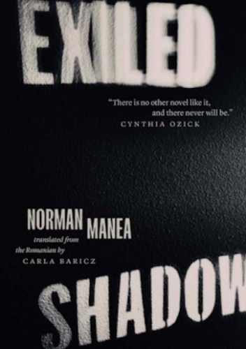 Exiled Shadow