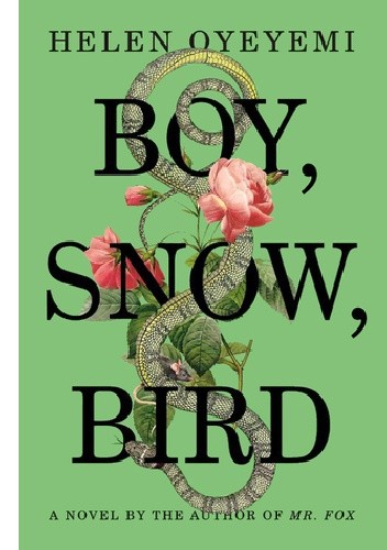 Boy, Snow, Bird