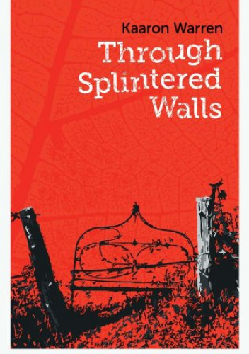 Through Splintered Walls