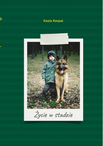Życie w stadzie