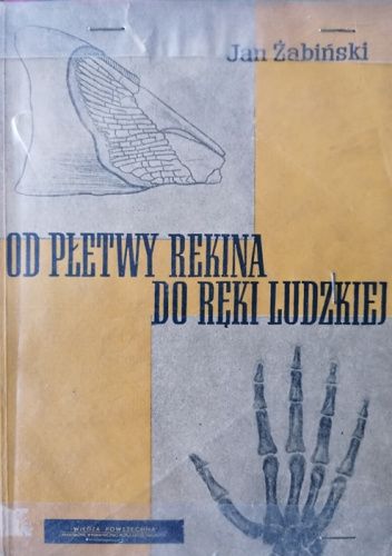 Od płetwy rekina do ręki ludzkiej