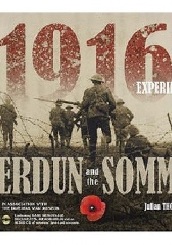 The 1916 Experience: Verdun and the Somme
