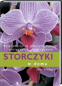 Storczyki w domu - Pinske Jorn