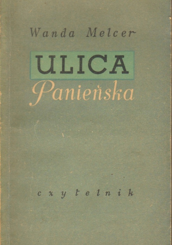 Ulica Panieńska