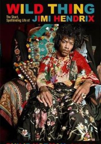Wild Thing. The Short, Spellbinding Life of Jimi Hendrix
