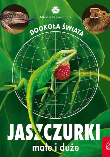Jaszczurki małe i duże