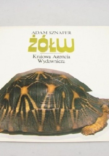 Żółw