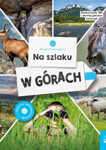 Na szlaku. W górach