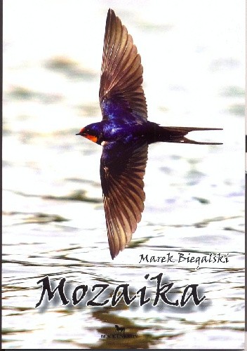 Mozaika