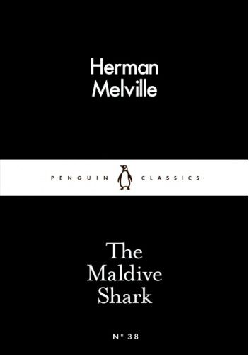 The Maldive Shark