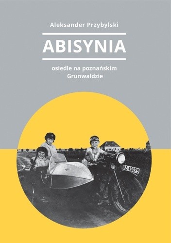 Abisynia – osiedle na poznańskim Grunwaldzie