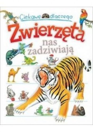 Ciekawe dlaczego zwierzęta nas zadziwiają