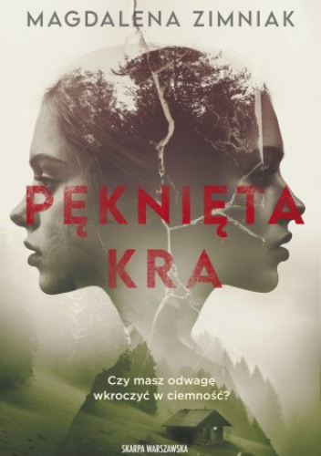 Pęknięta kra