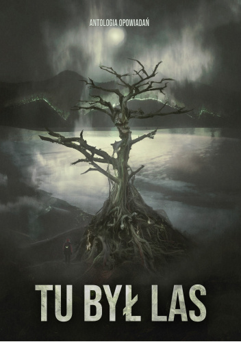 Tu był las