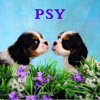 Psy