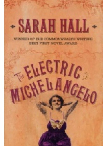 The Electric Michelangelo