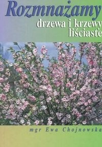 Rozmnażamy drzewa i krzewy liściaste